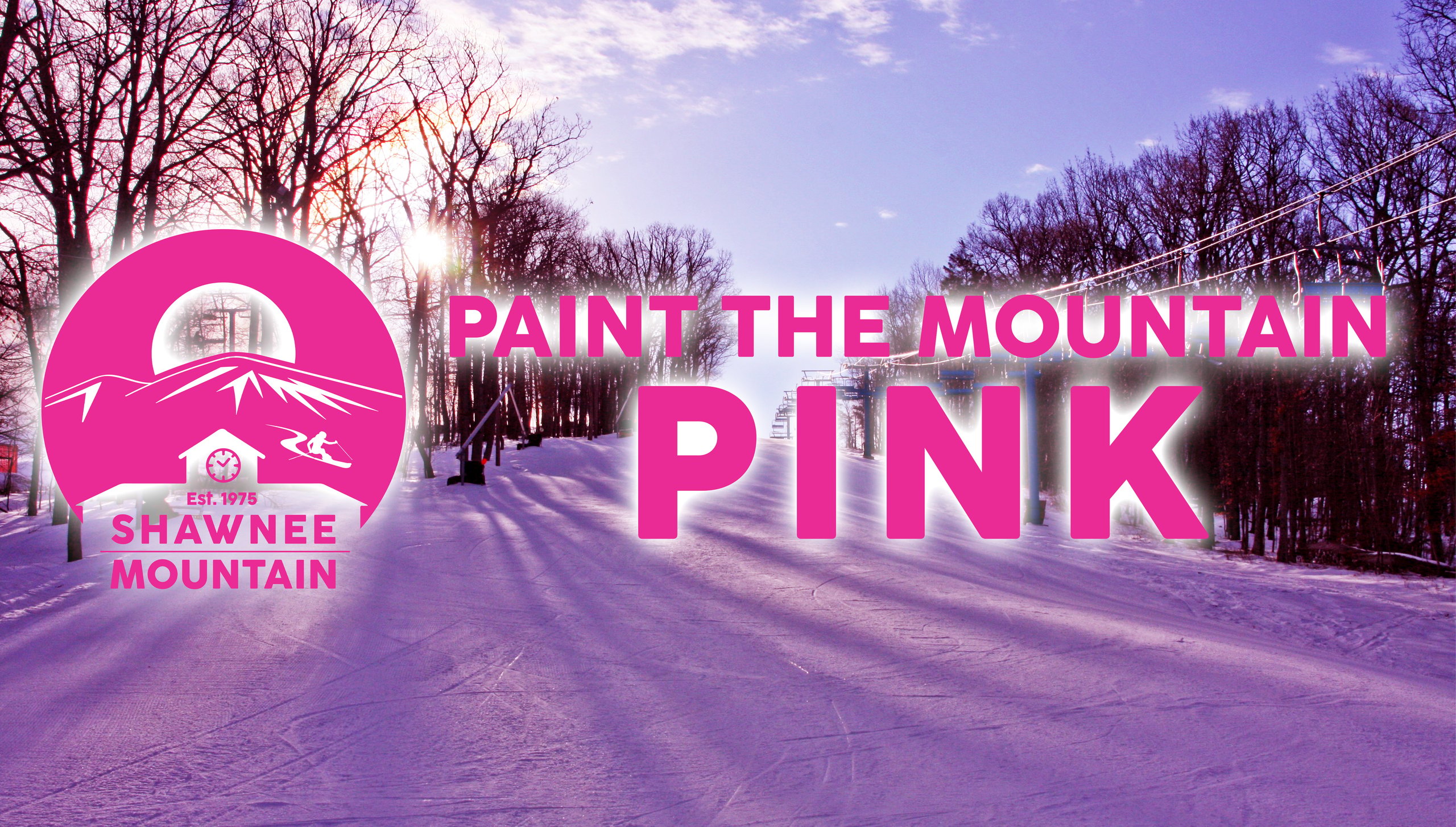 Paint the mountain pink graphic with snow in the back
