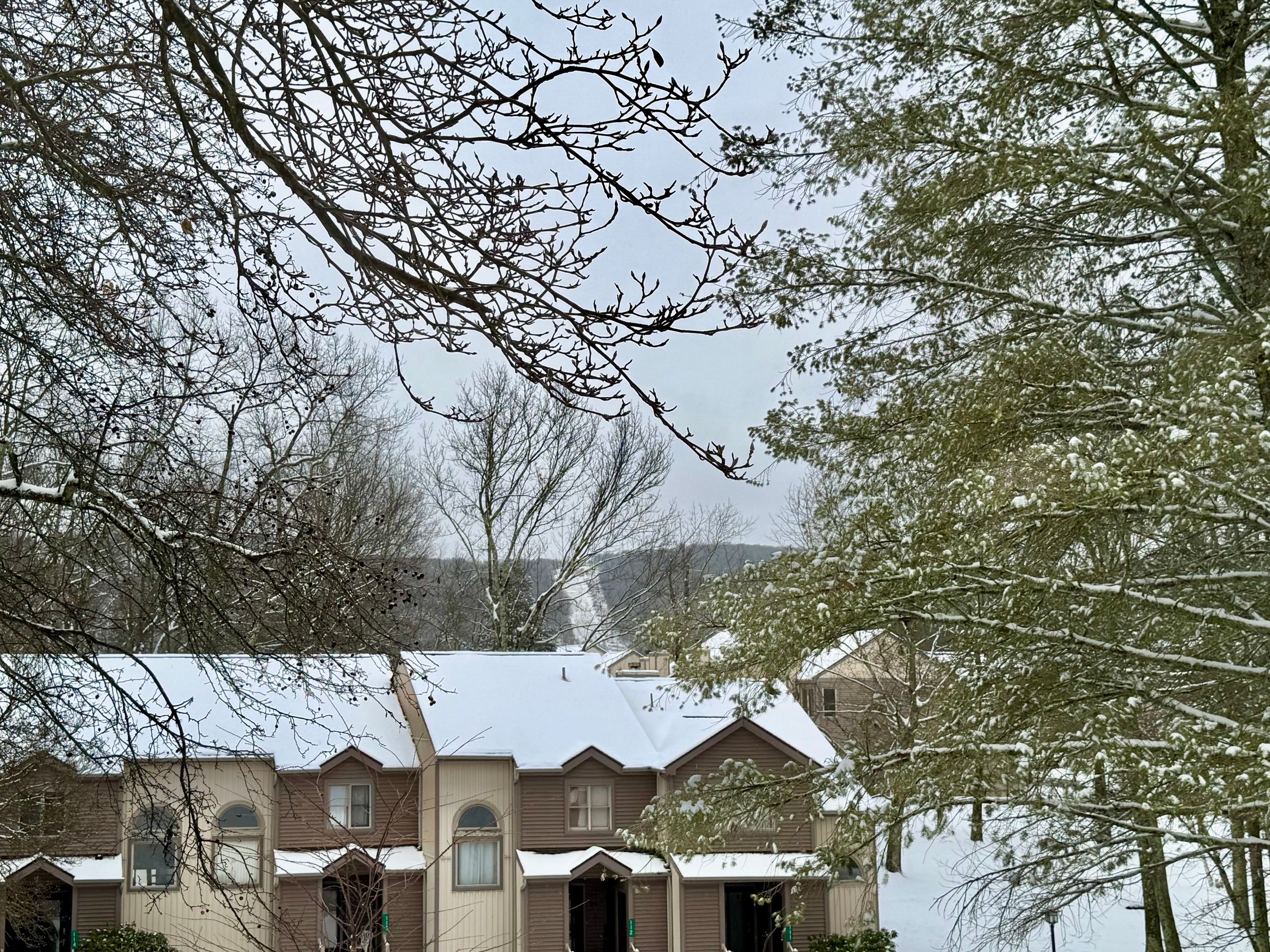 Picture of the top of town houses for lodging partners